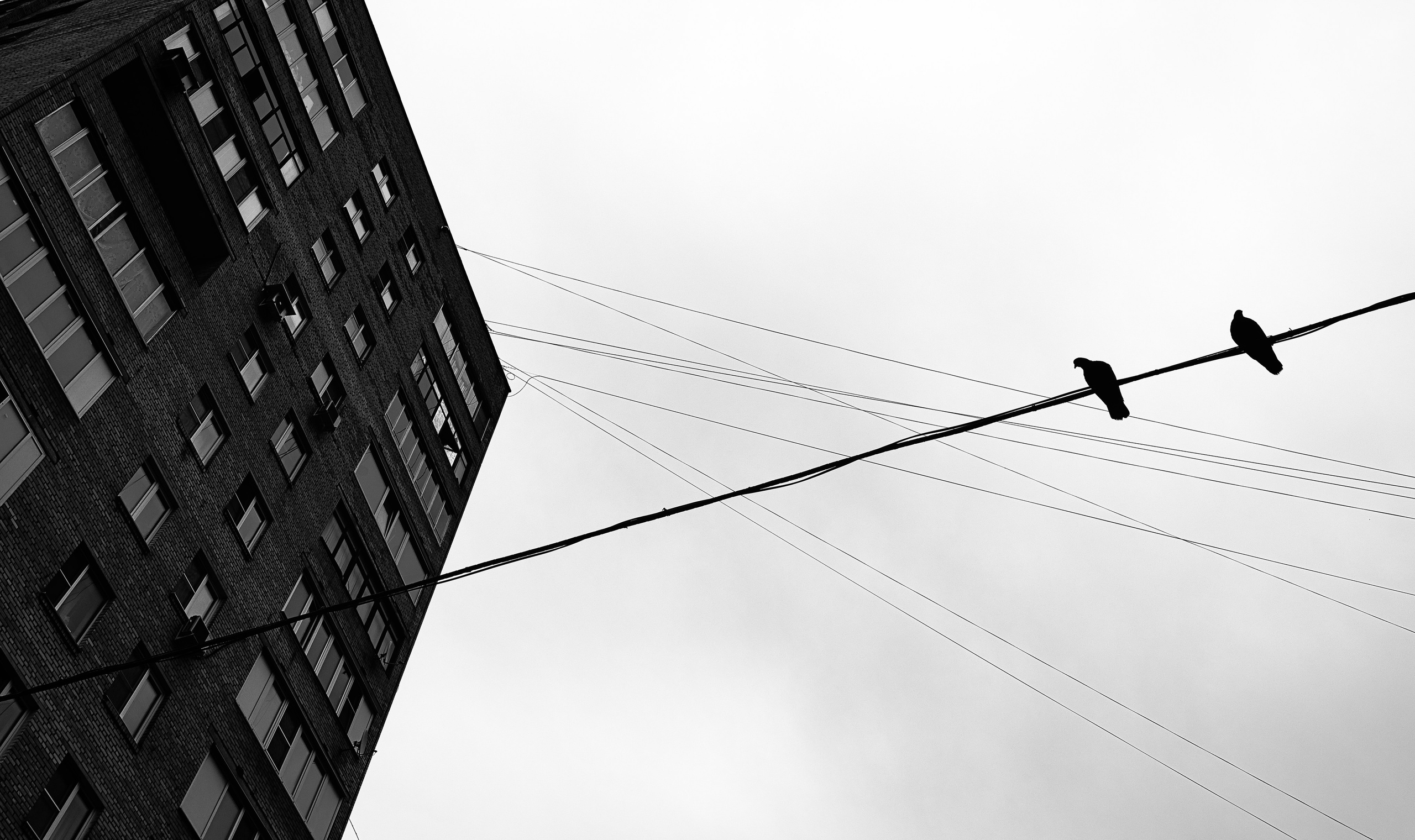 «ENTANGLEMENT.CITY». Концертный и портретный фотограф в Москве, Рамиль Газизов