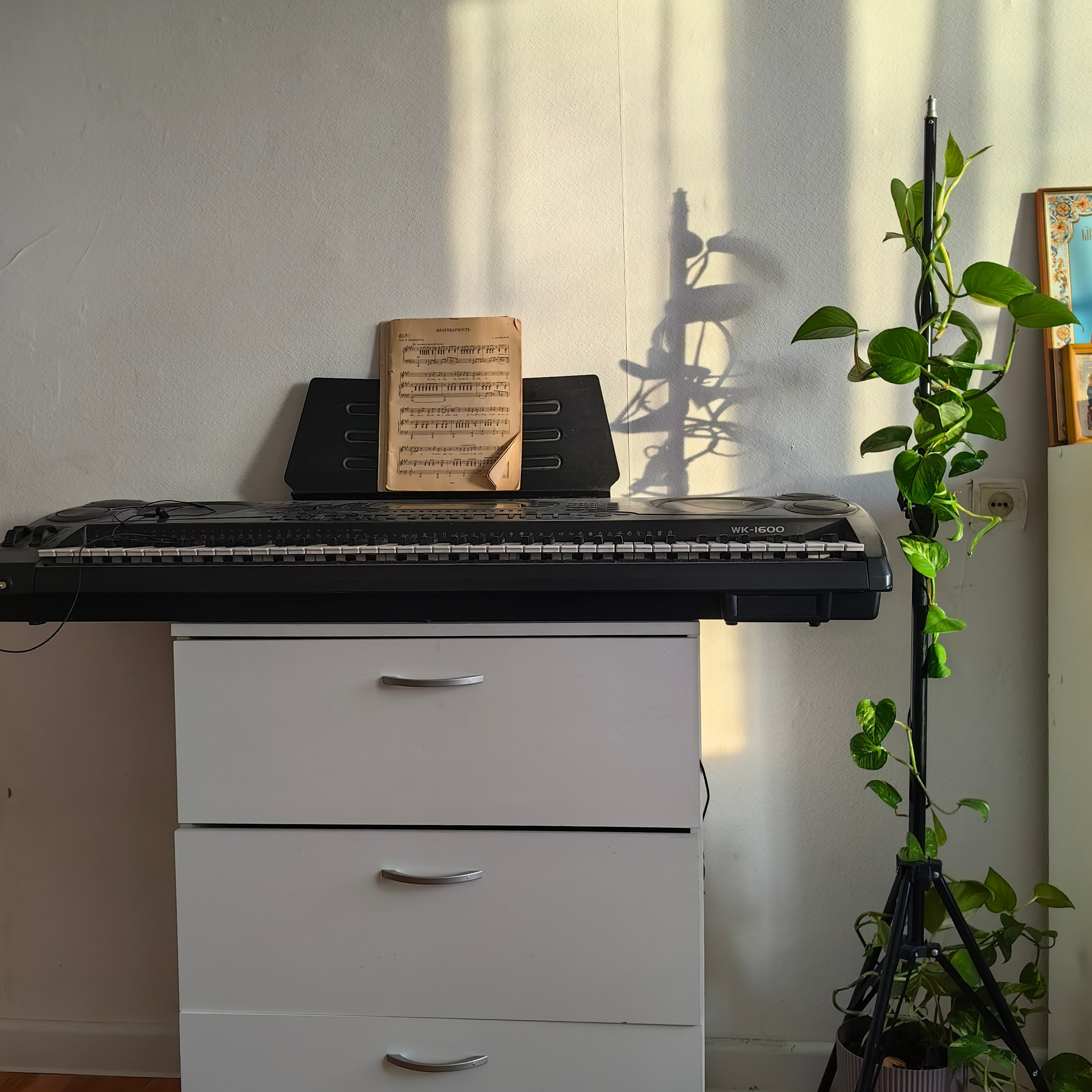 Голос Автора. Творческая Таты Пахомовой