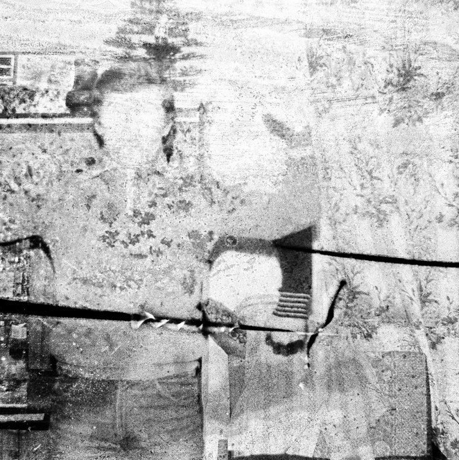 Лаборатория проектной фотографии. Самоорганизация Низина