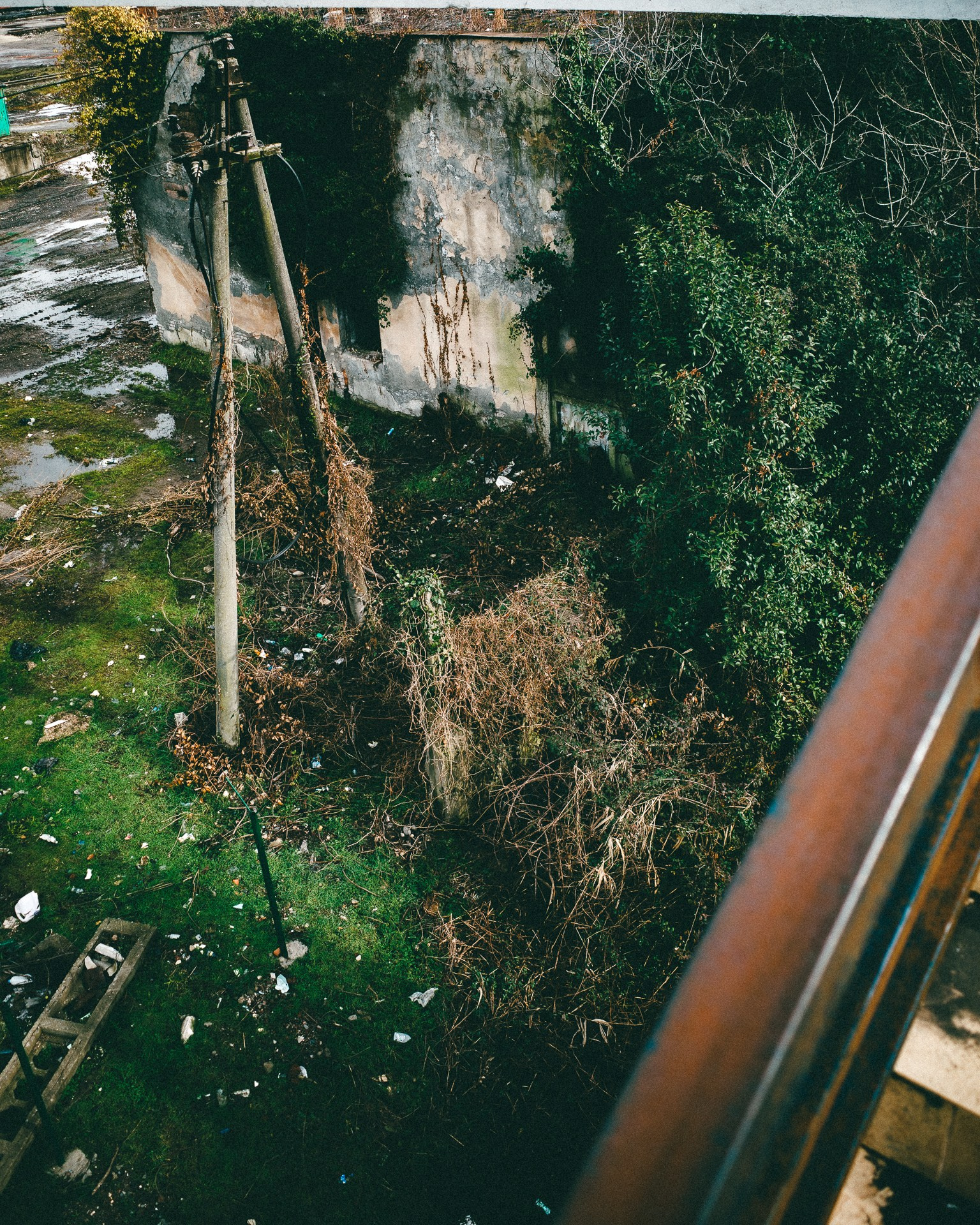 Абхазия. Фотограф Паша Максимов