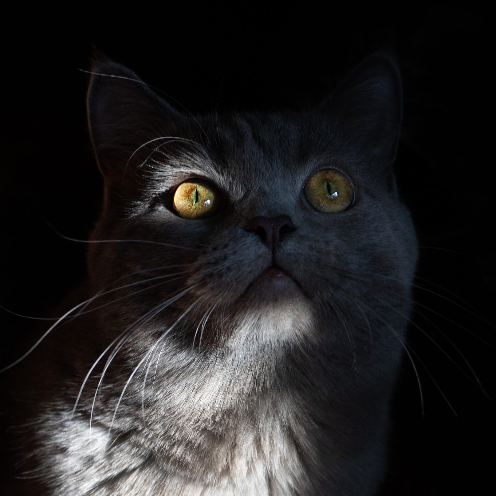 Заказать фотосессию Елец Липецк. Семейный и детский фотограф в Ельце и Липецке Дарья Шацких