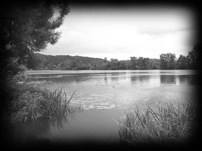 Пейзажи. Granum-memorial