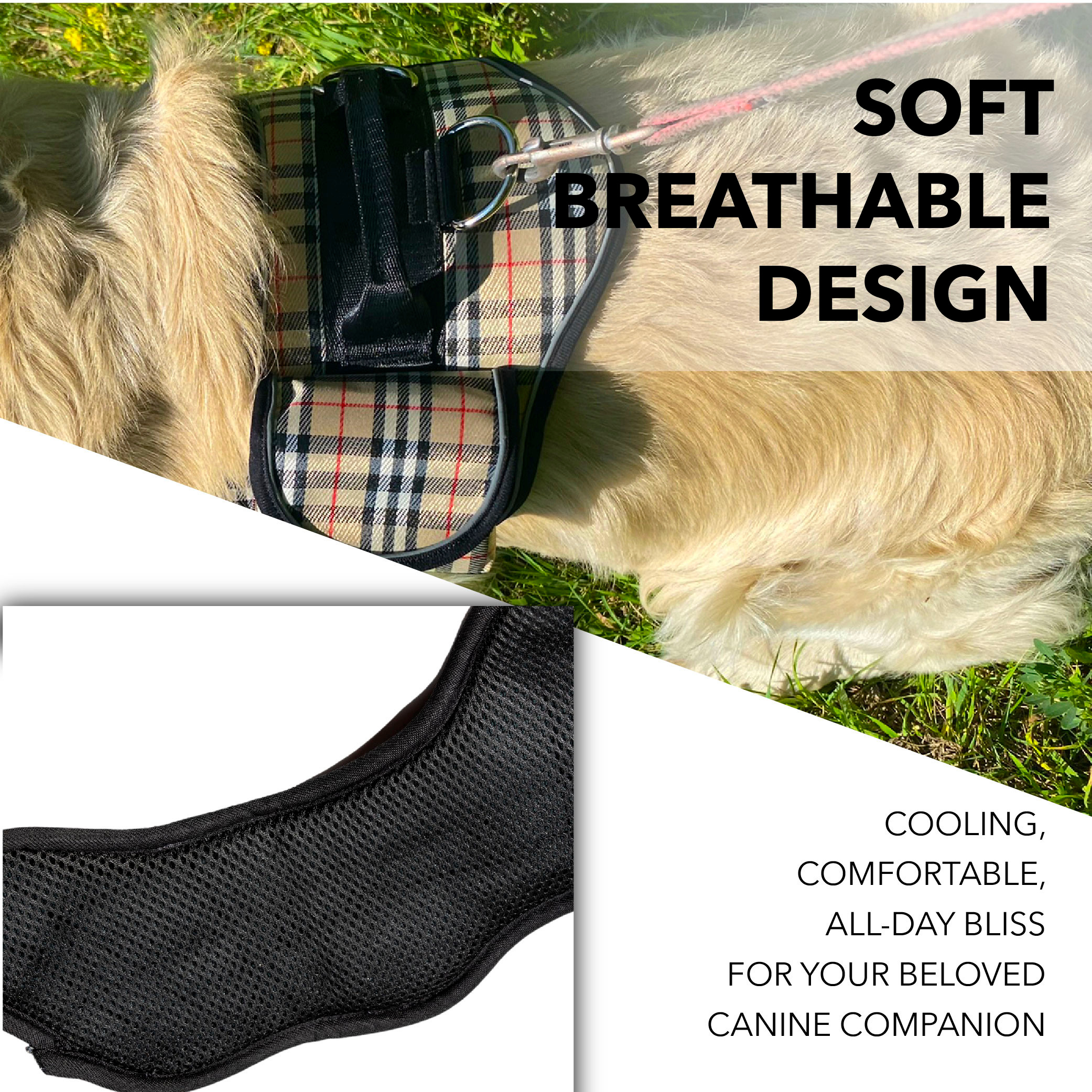 Графический дизайн. Профессиональный фотограф в Астане