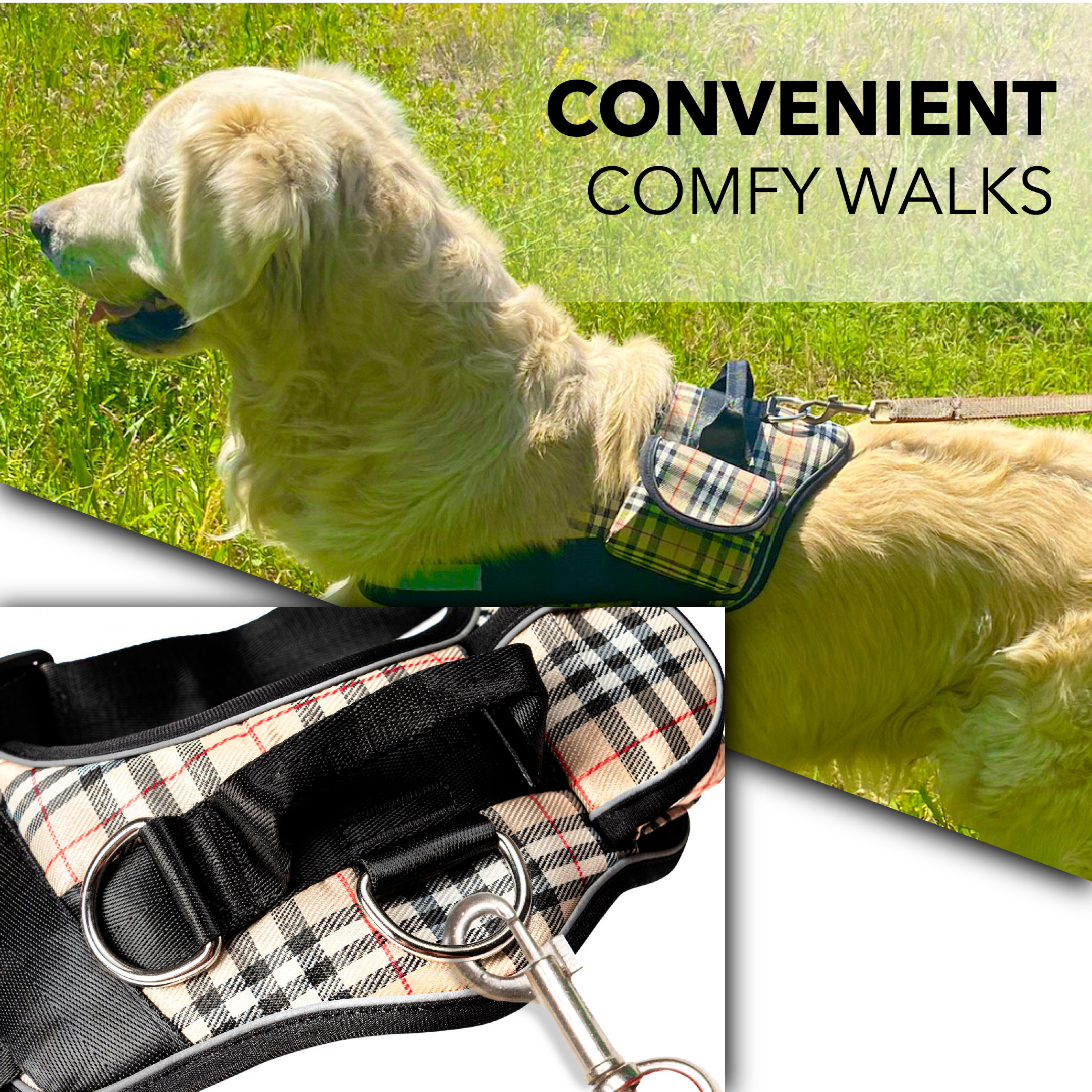 Графический дизайн. Профессиональный фотограф в Астане