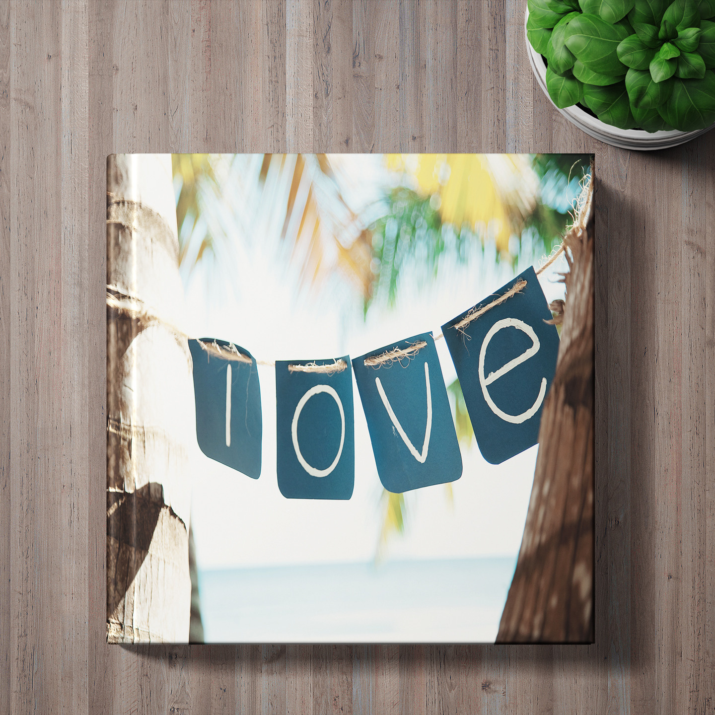 Фотографы из солнечного Краснодара Вадим и Надежда Митус