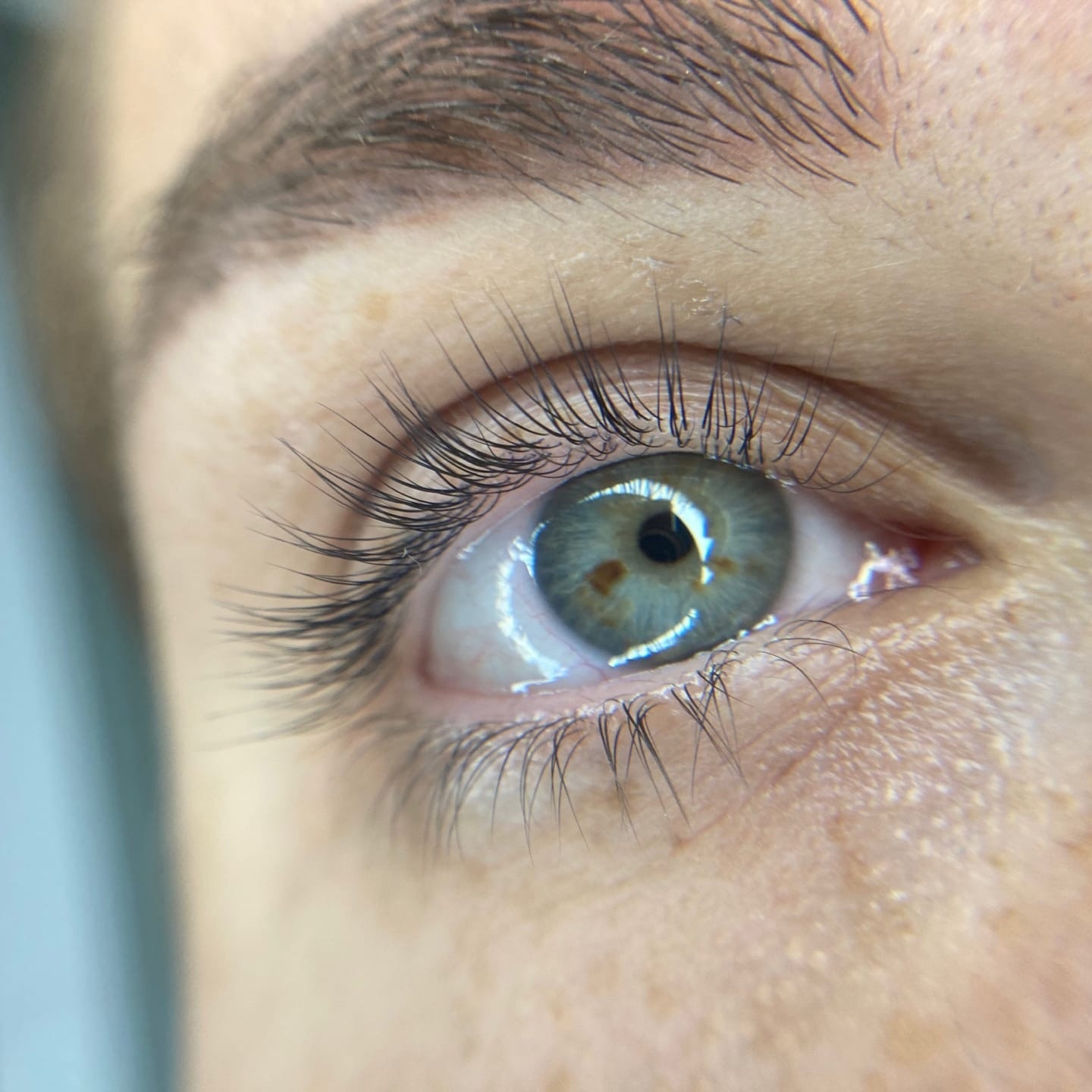 Ламинирование и подкрашивание ресниц для обворожительного взгляда