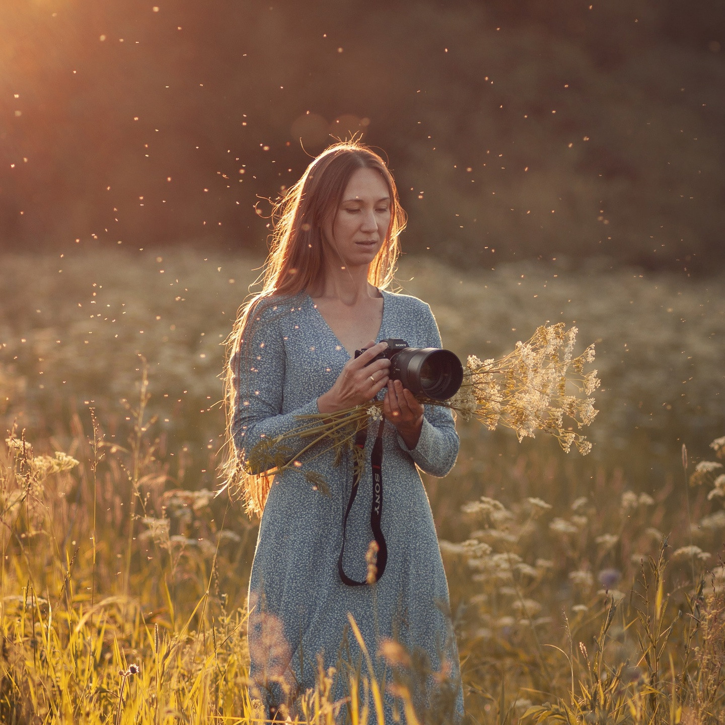 Фотограф, сценарист, режиссер новелл в киностиле