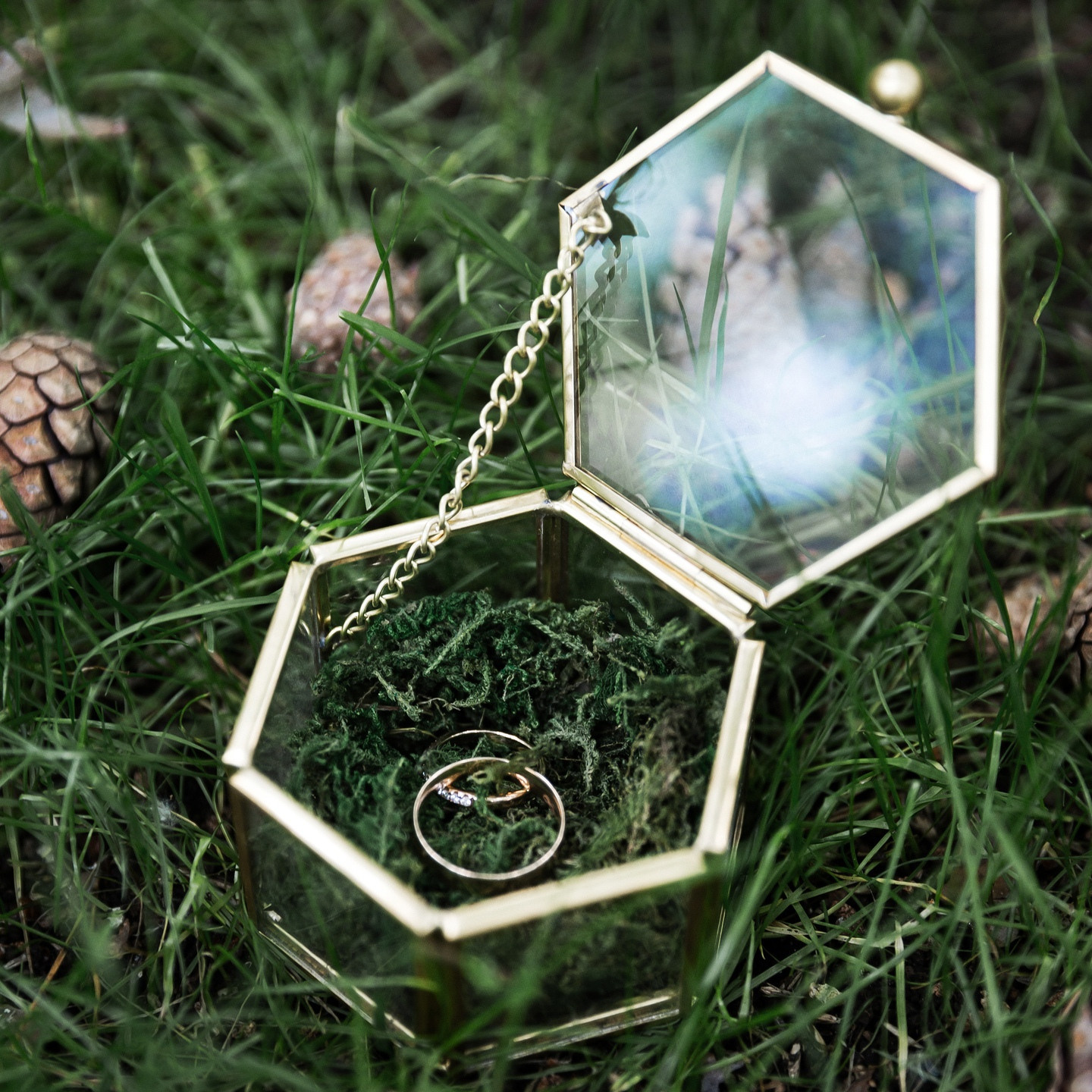 Контакты. Свадебный и семейный фотограф в Москве Сергей Кравчак