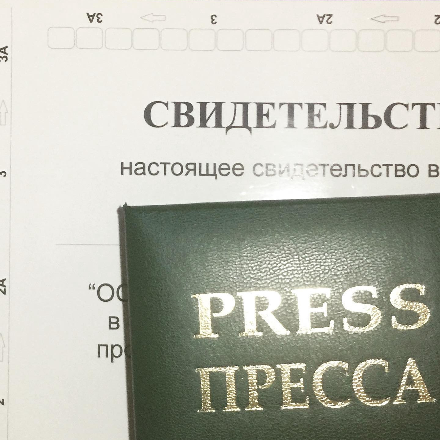 Свадебный и семейный фотограф Евгения Солнцева. Фотограф в Санкт-Петербурге, — Евгения Солнцева