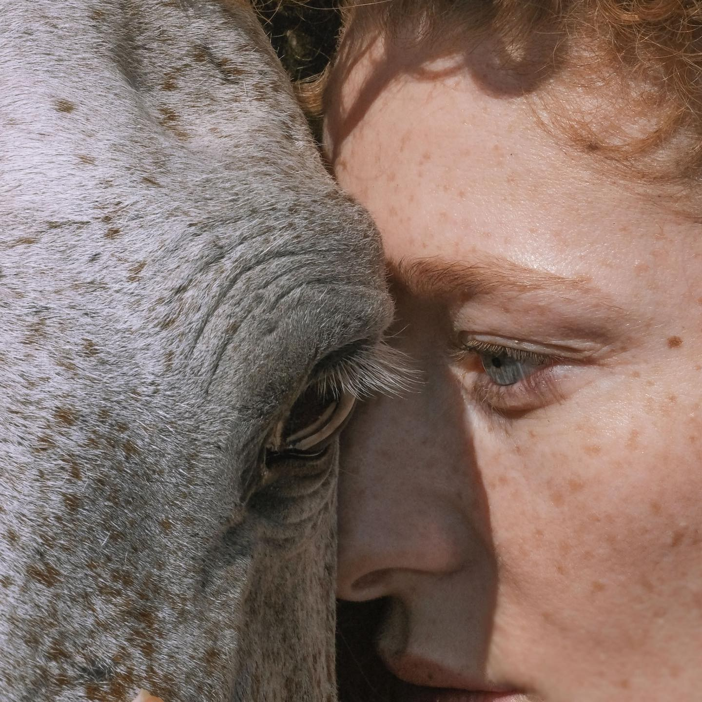 Перечитывая Оливию Лэнг. Private image