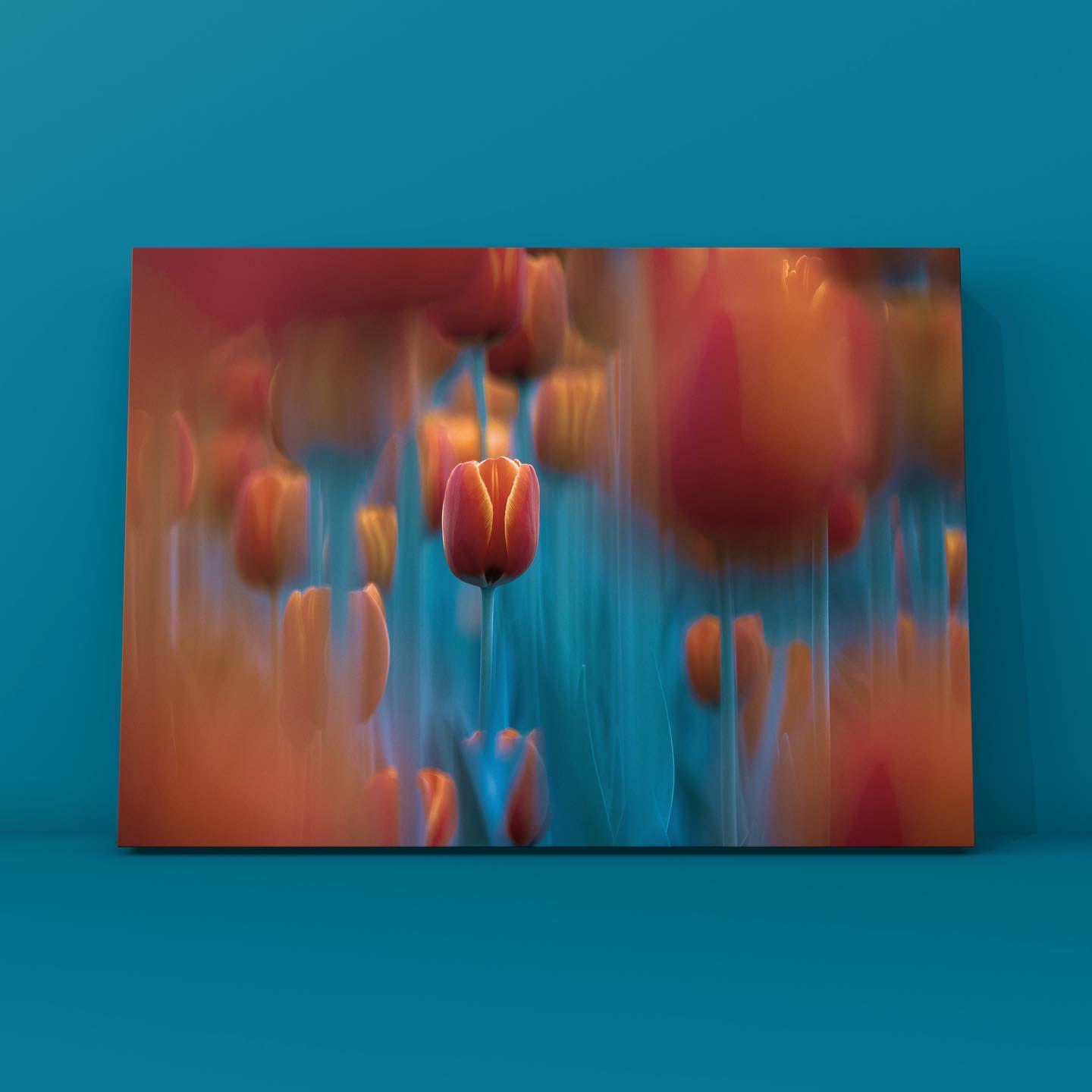 Синие тюльпаны. Фотограф в Москве Сергей Коршунов