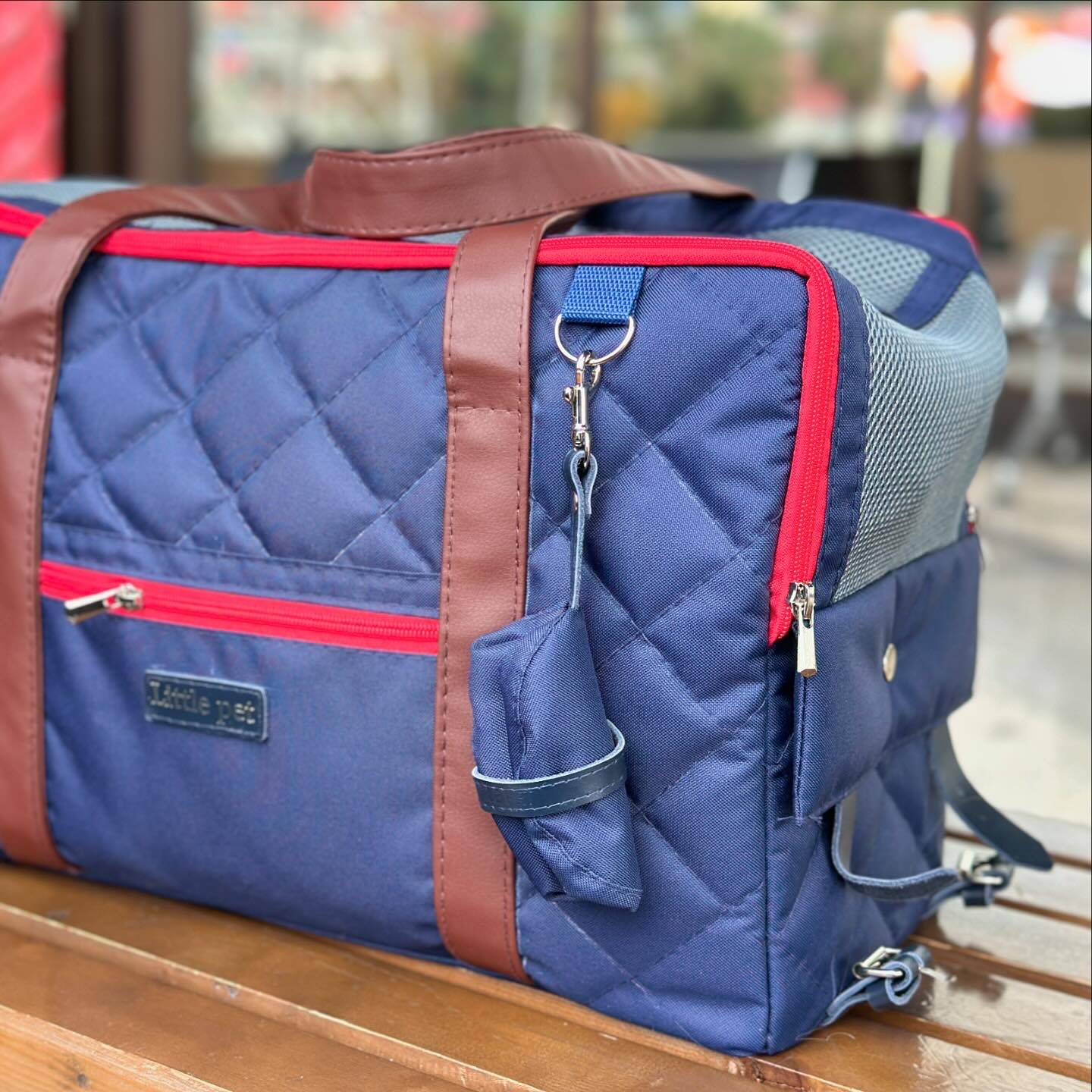 Доставка щенков по всему миру. Профессиональный питомник левреток РКФ/FCI ASTI SAPPHIRE 💎 Сочи|Санкт-Петербург