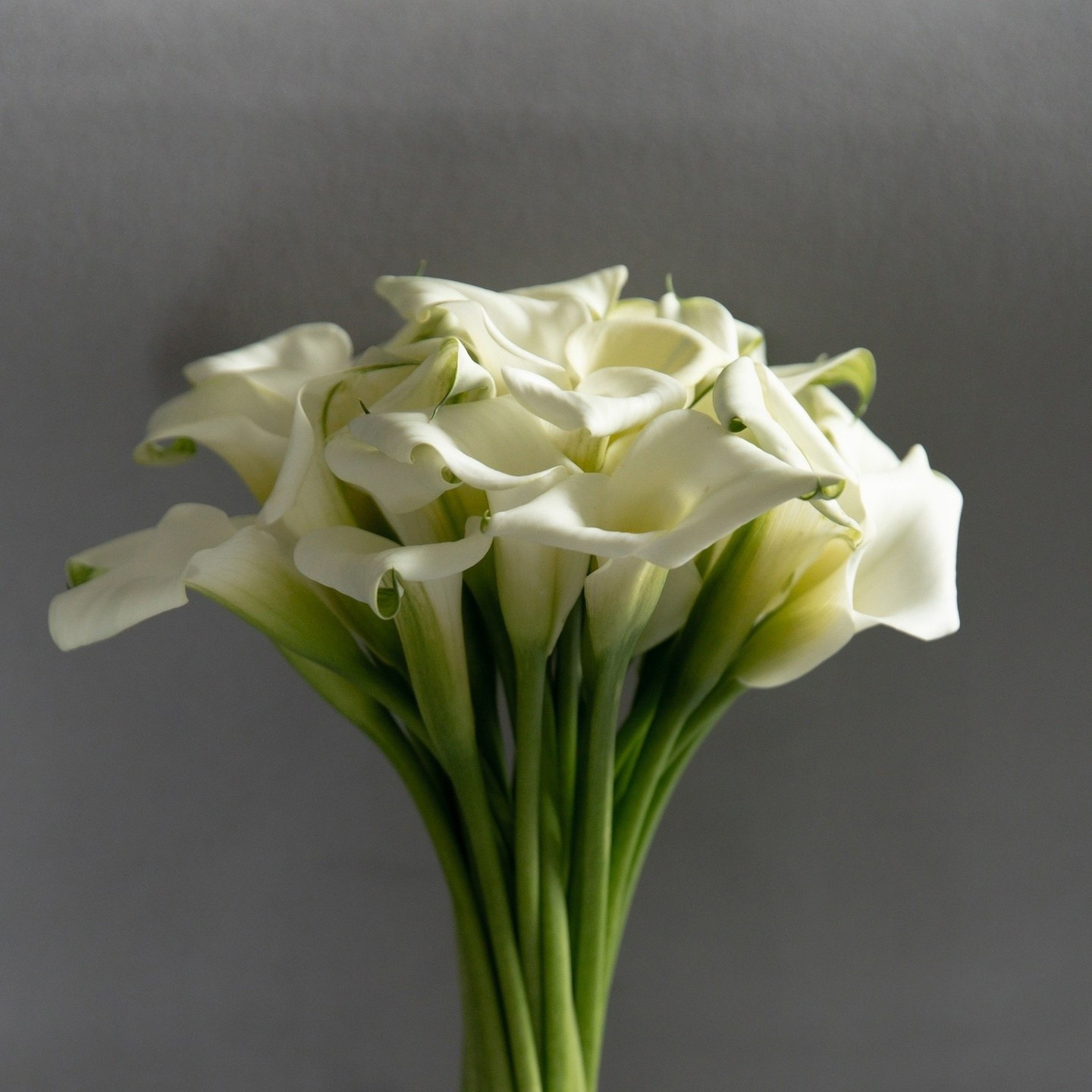 Свадебный и семейный фотограф в г. Чебоксары Павлова София