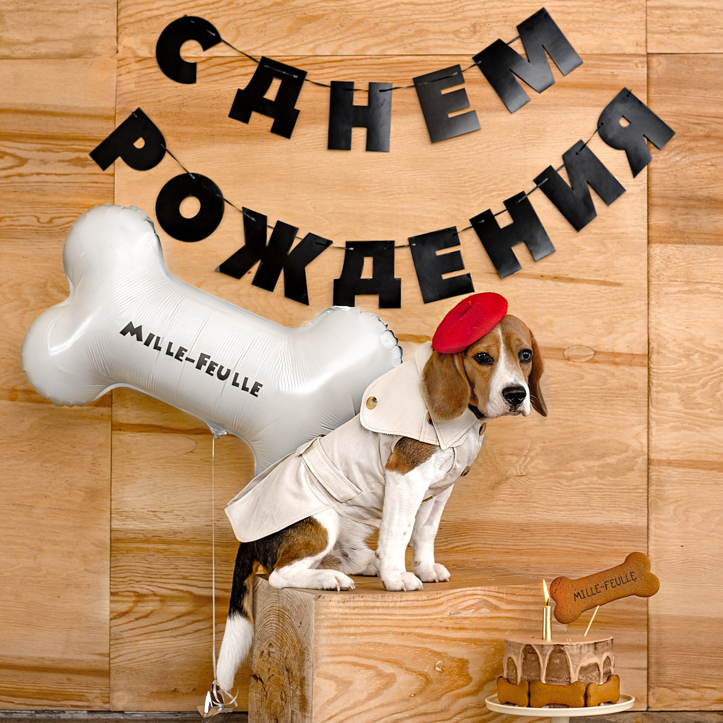 Фотосъемка питомца. Фотограф детских праздников в Новосибирске Ольга Франк