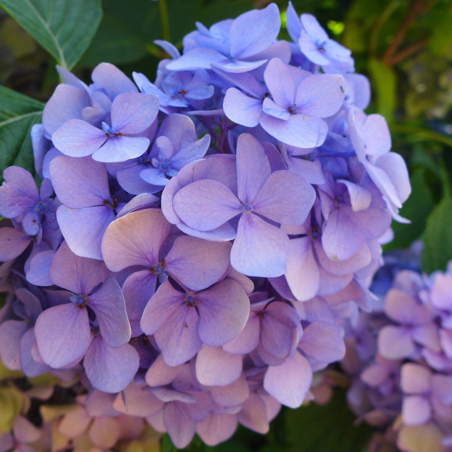 Фотограф для фотосессии беременности и материнства. Профессиональный фотограф в Москве, Измайлово