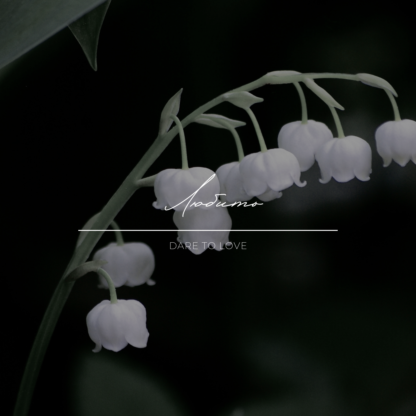My Music. RIA