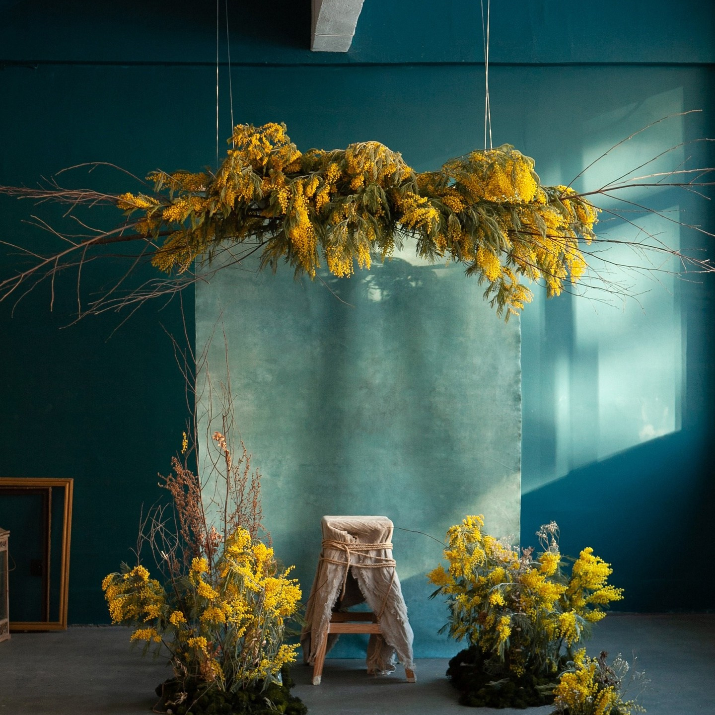 Рекомендации по выбору одежды на фотосессию с мимозой. Фотограф в Санкт-Петербурге, Анна Скворцова