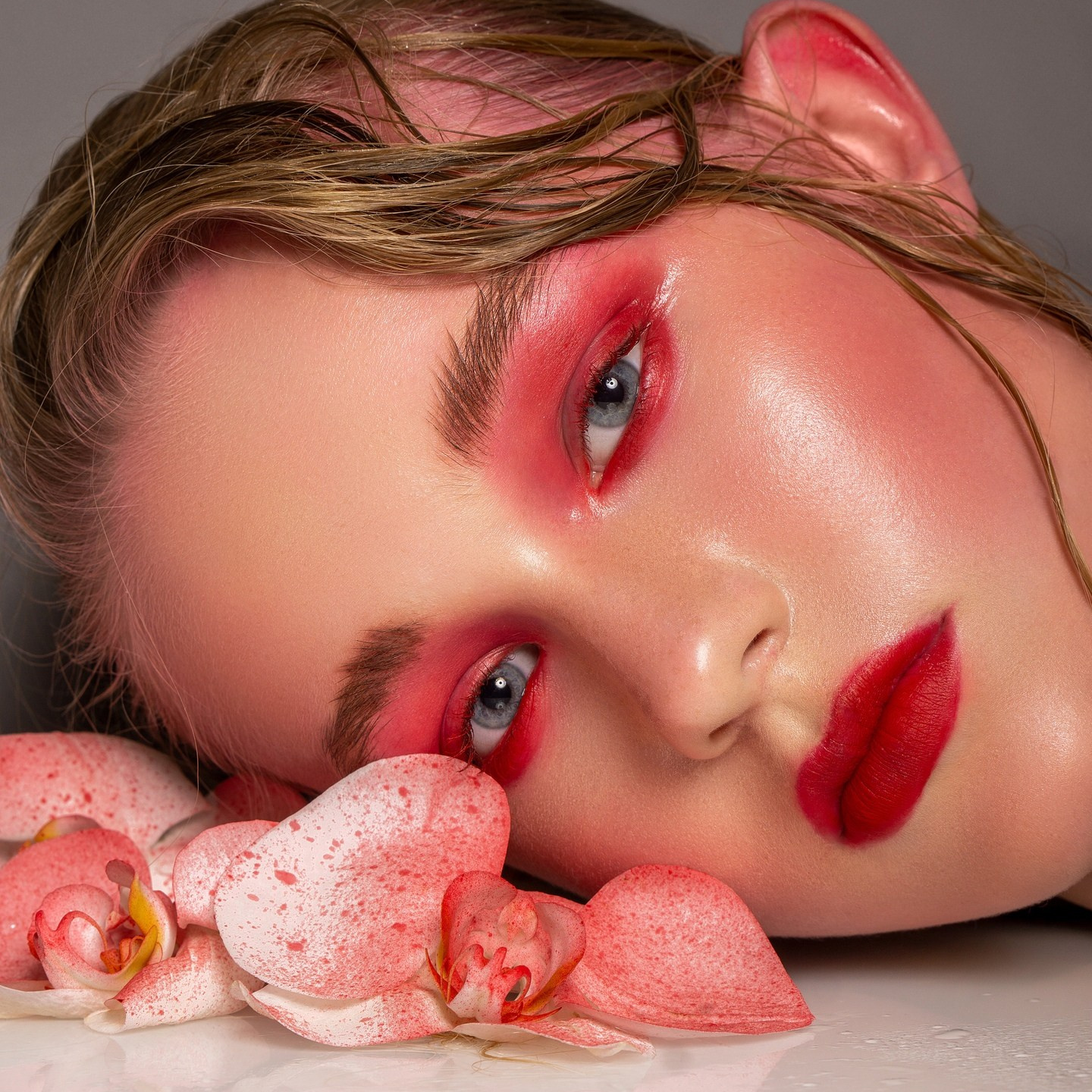 Услуги. Свадебный фотограф в Дмитрове