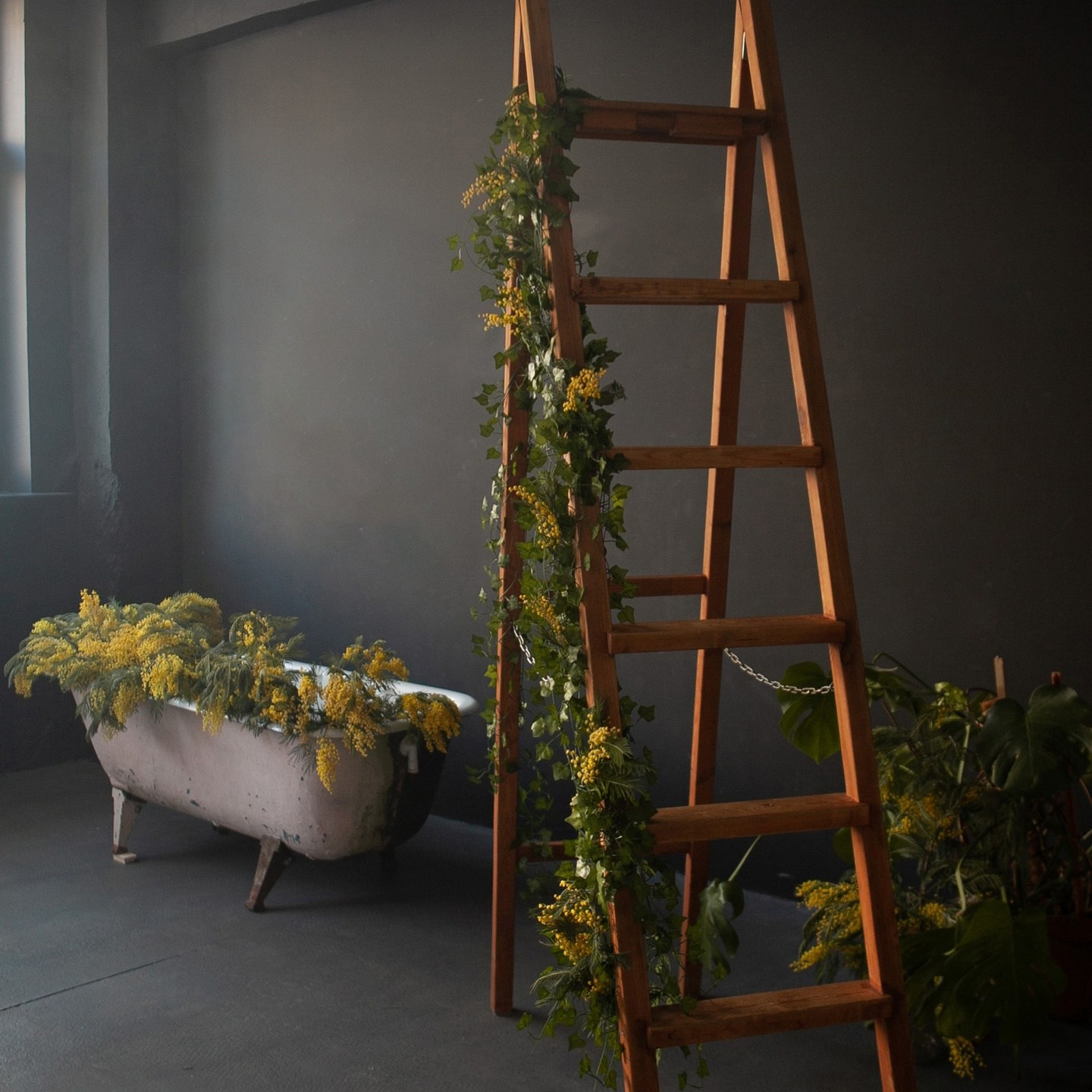 Рекомендации по выбору одежды на фотосессию с мимозой. Фотограф в Санкт-Петербурге, Анна Скворцова