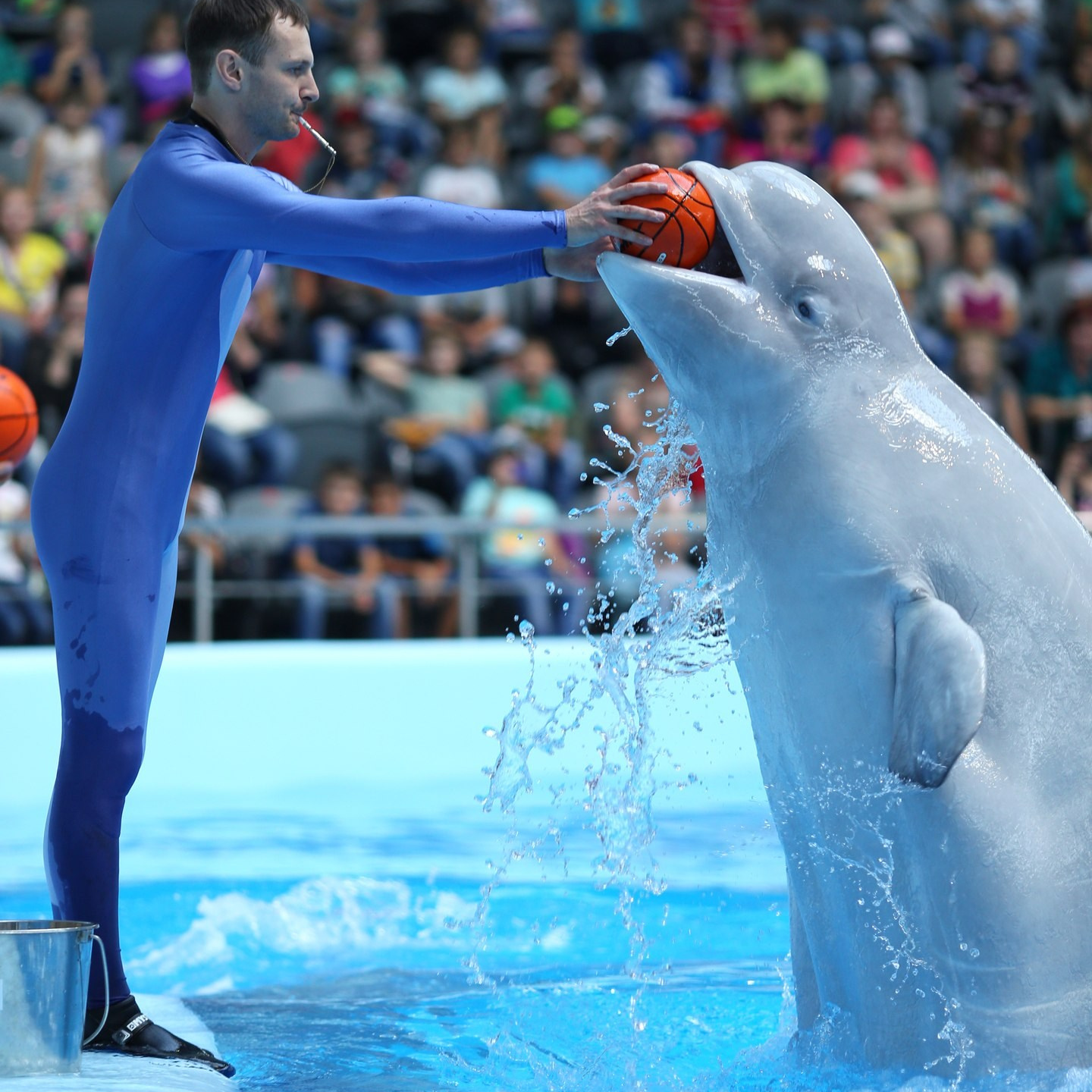 Услуги и цены. Фотограф Новосибирск