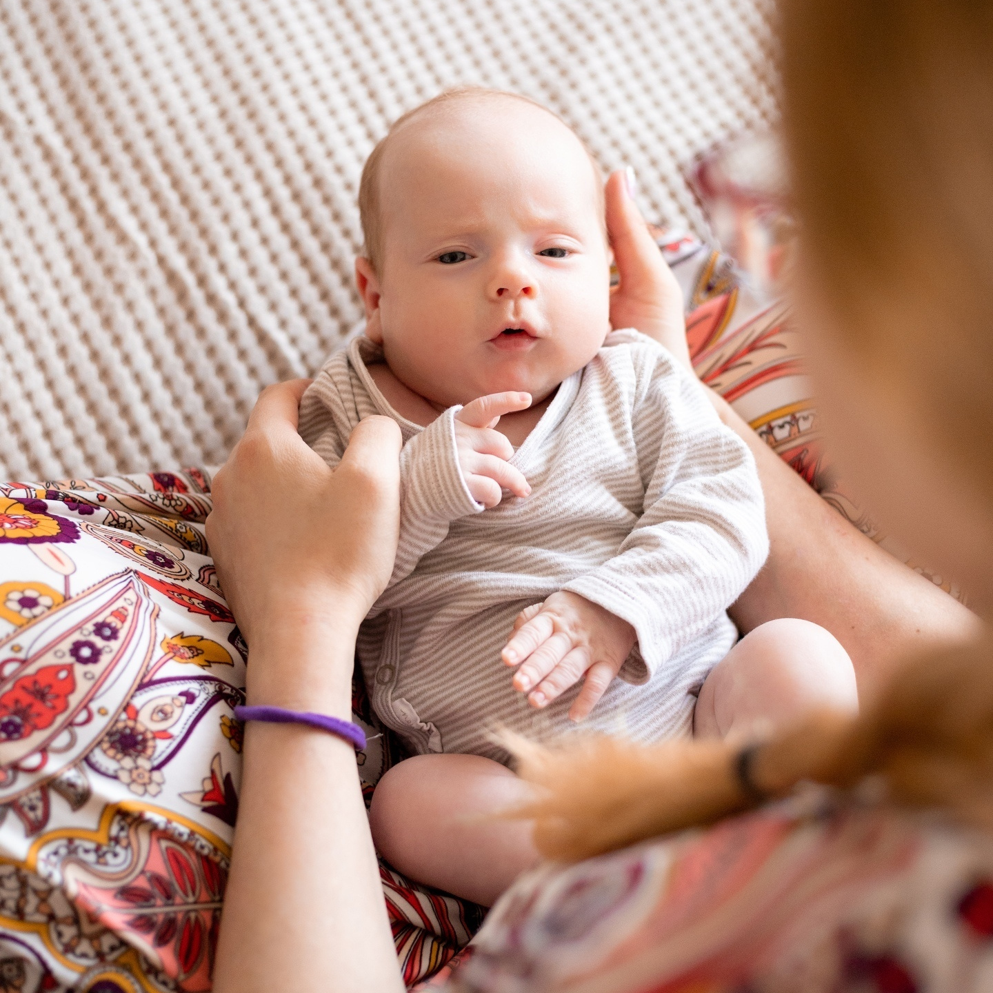 Стоимость студийной, домашней фотосъемки. Стоимость фотосессий на прир. Екатерина Новикова — семейный и свадебный фотограф. Москва, МО