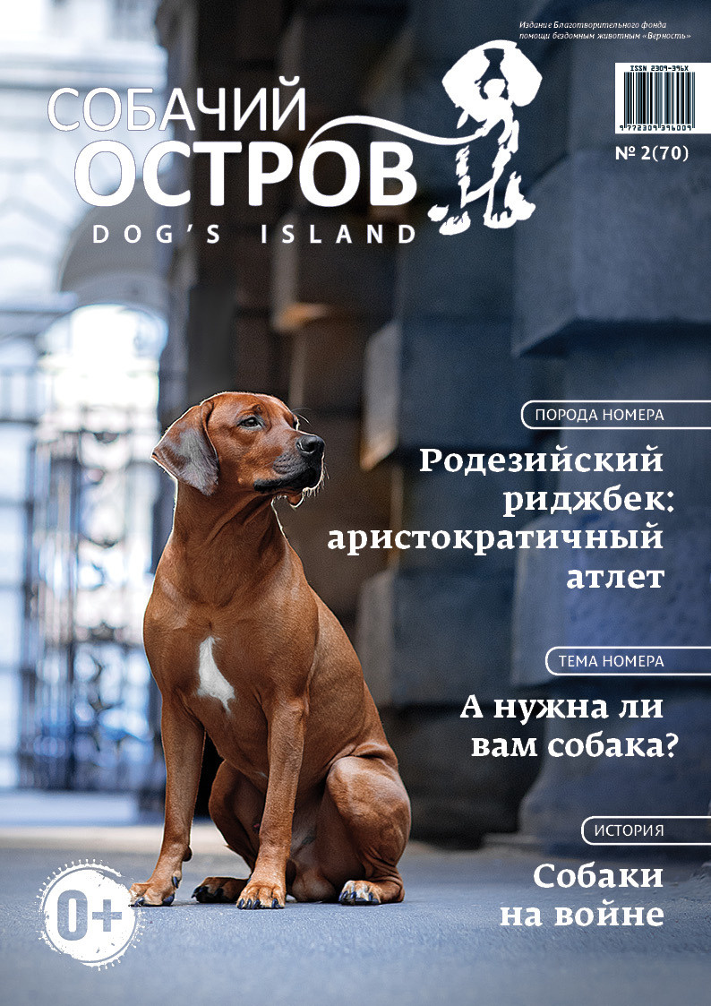 Публикации. Фотограф анималист в Санкт-Петербурге Светлана Писарева