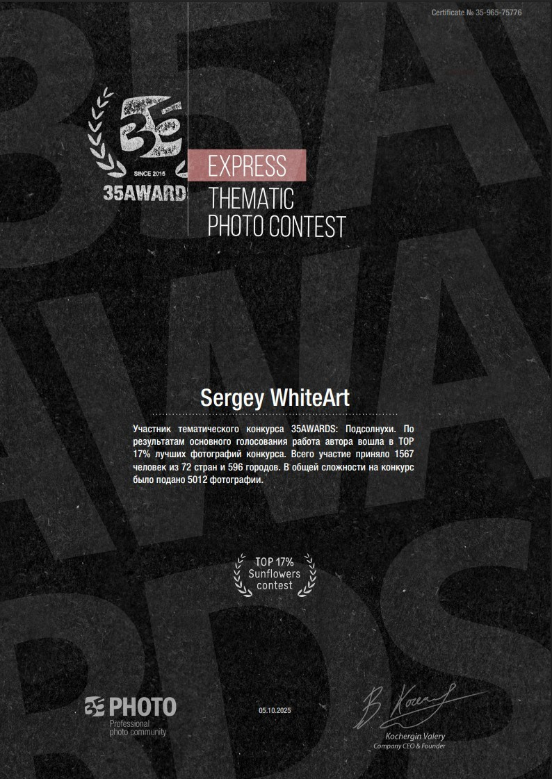 Никогда не участвовал в фотоконкурсах и вот…. Sandman Realm