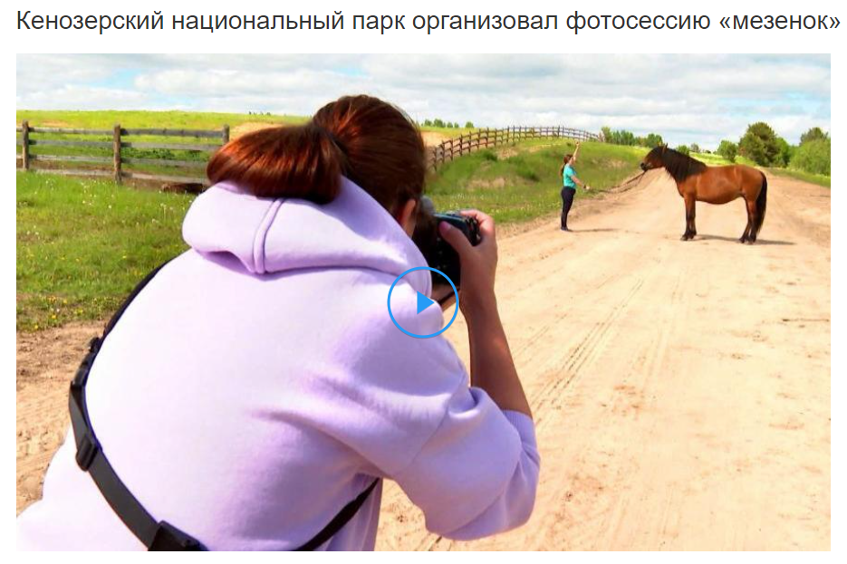 фотограф, фотовыставка, фотограф в СПб, питер фотограф, конный фотограф, съемка лошадей, конная фотография, профессиональный фотограф, фото лошадей, портреты лошадей, фото с лошадьми, заказать съемку лошади, авторские фотографии, публикации в изданиях, росфото, National Geographic, фотограф питер, конный фотограф спб, фотограф санкт-петербург