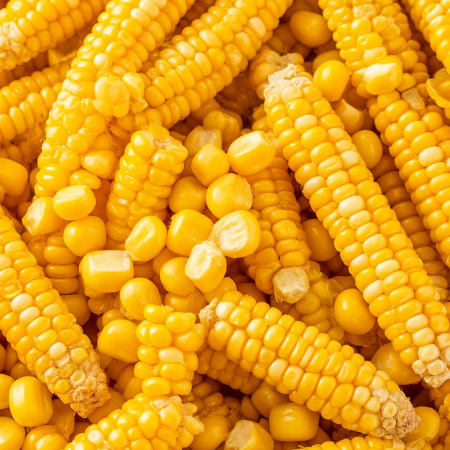 Корма для животных в Кургане — широкий ассортимент от АГРОКОРМ КУРГАН. Специализированный магазин кормов для животных| АГРОКОРМ КУРГАН|Комбикорм, зерно, сено