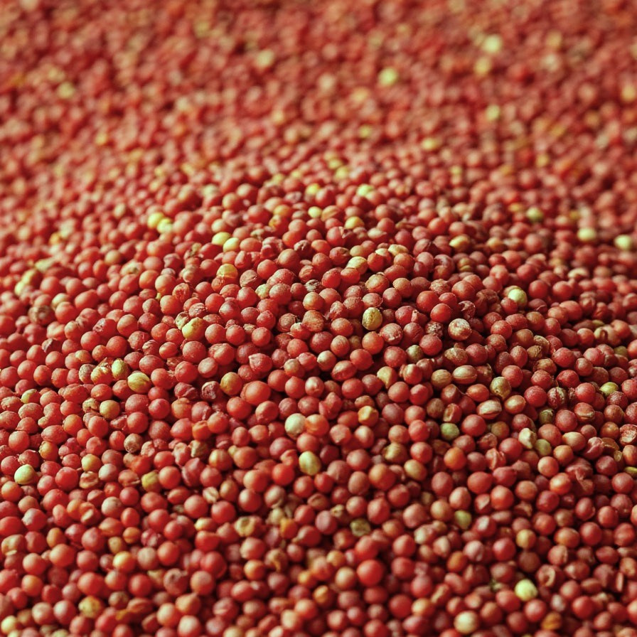 Корма для животных в Кургане — широкий ассортимент от АГРОКОРМ КУРГАН. Специализированный магазин кормов для животных| АГРОКОРМ КУРГАН|Комбикорм, зерно, сено