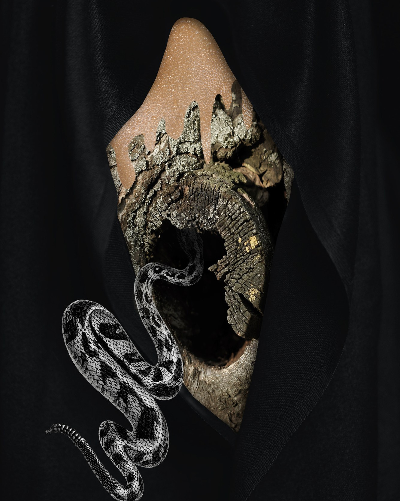 Collage. Alya Segova