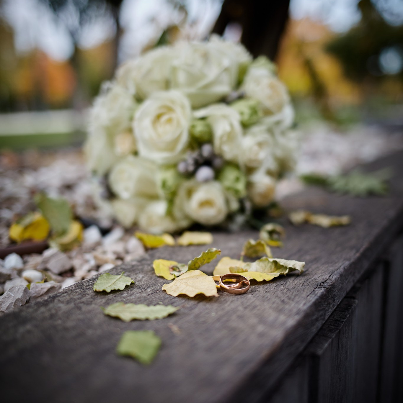 Контакты. ФОТО — ВИДЕО Юрий Безрукавый