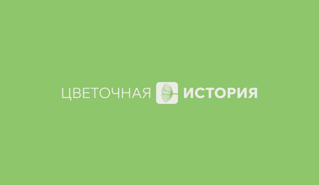 Фестиваль Большой день детского кино «Метр с кепкой»