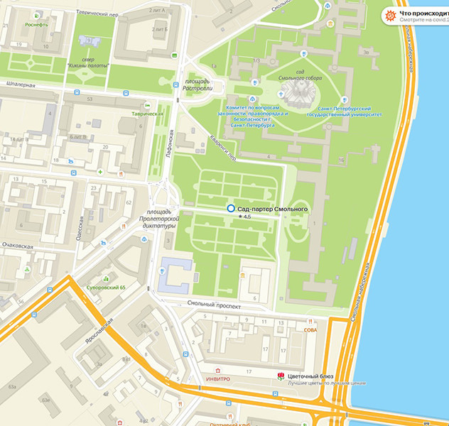 Календарь Цветения в Санкт-Петербурге. Отличные фотографии своих близких, своего бизнеса или даже себя. СПб