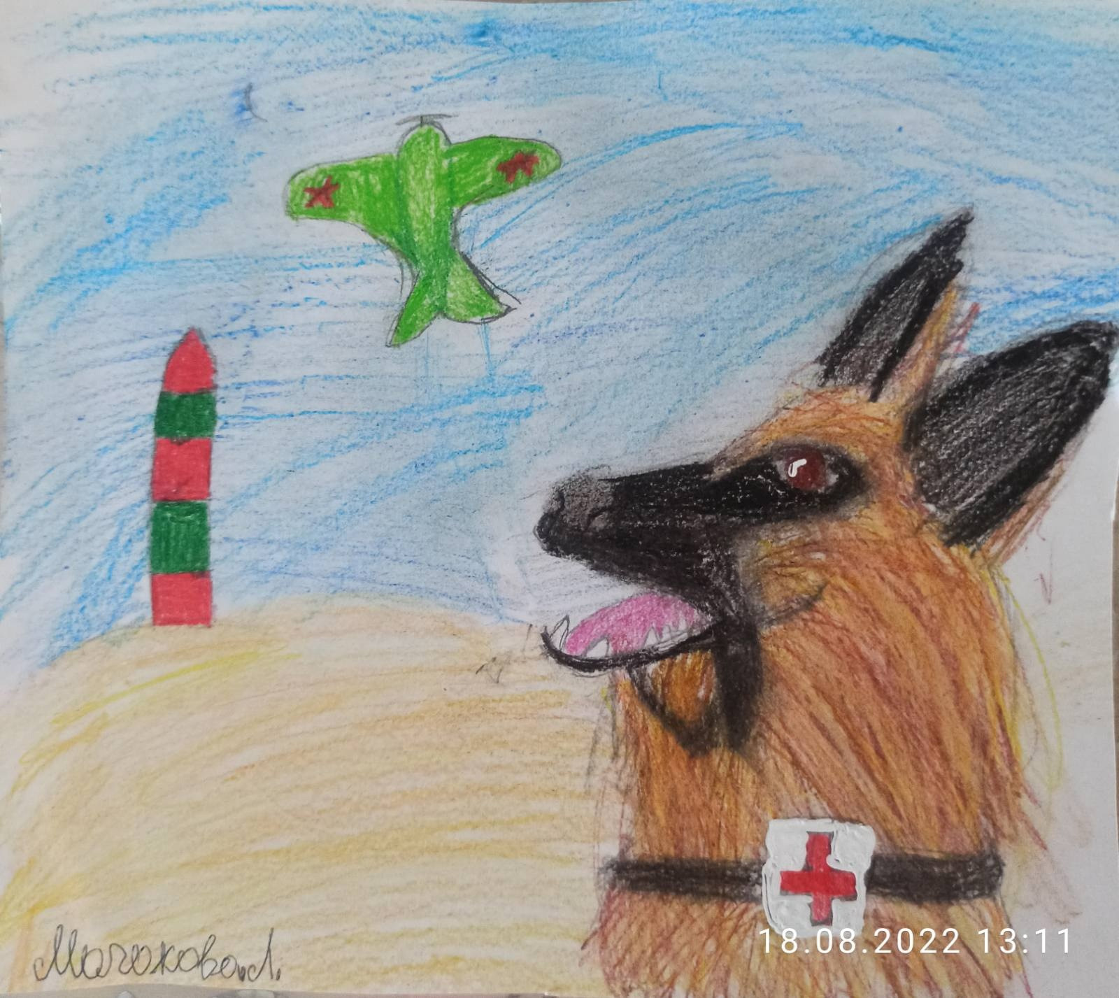 Акция 🔥"В память о четвероногом бойце. НРОО КЦ "Собаковод"