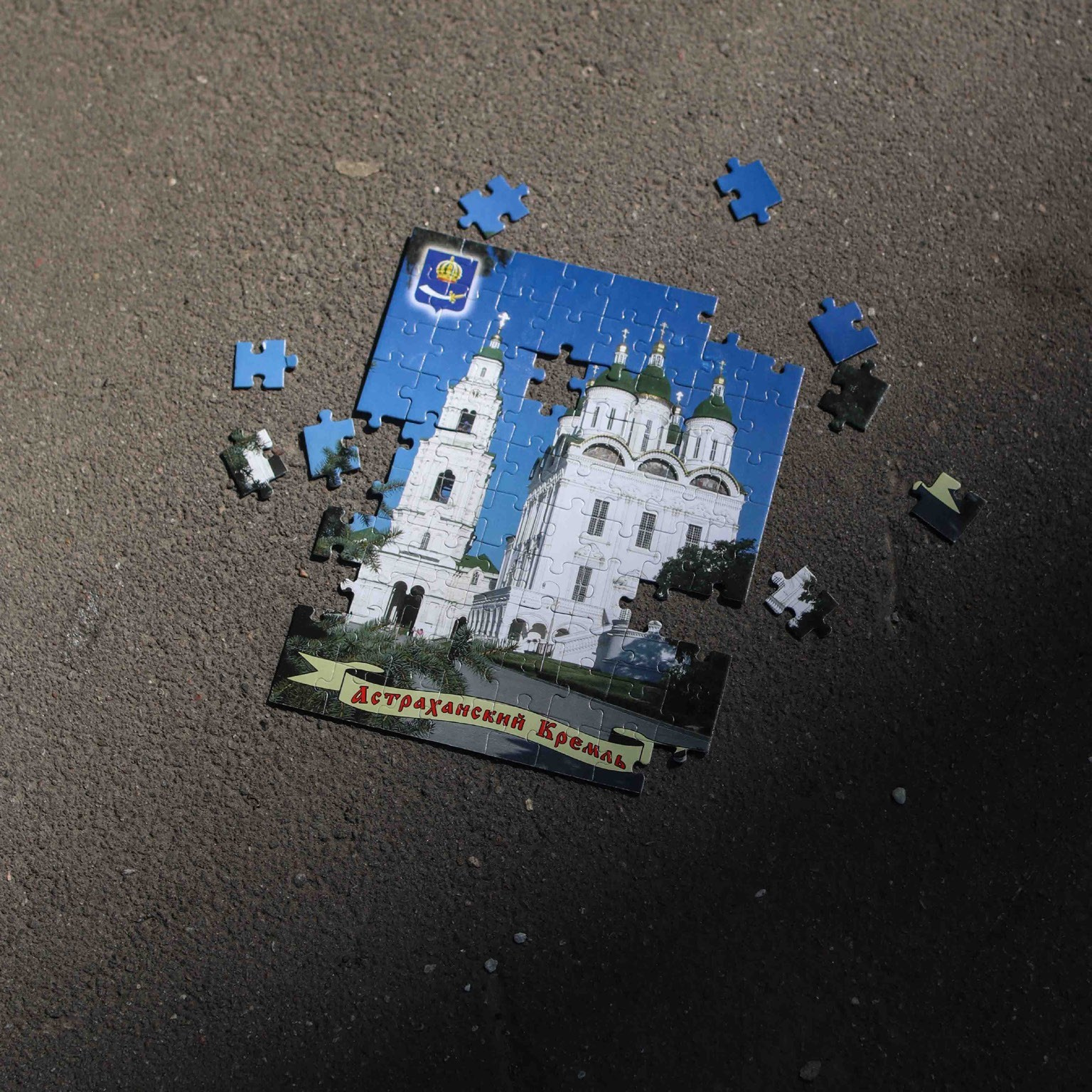 Лаборатория проектной фотографии. Самоорганизация Низина