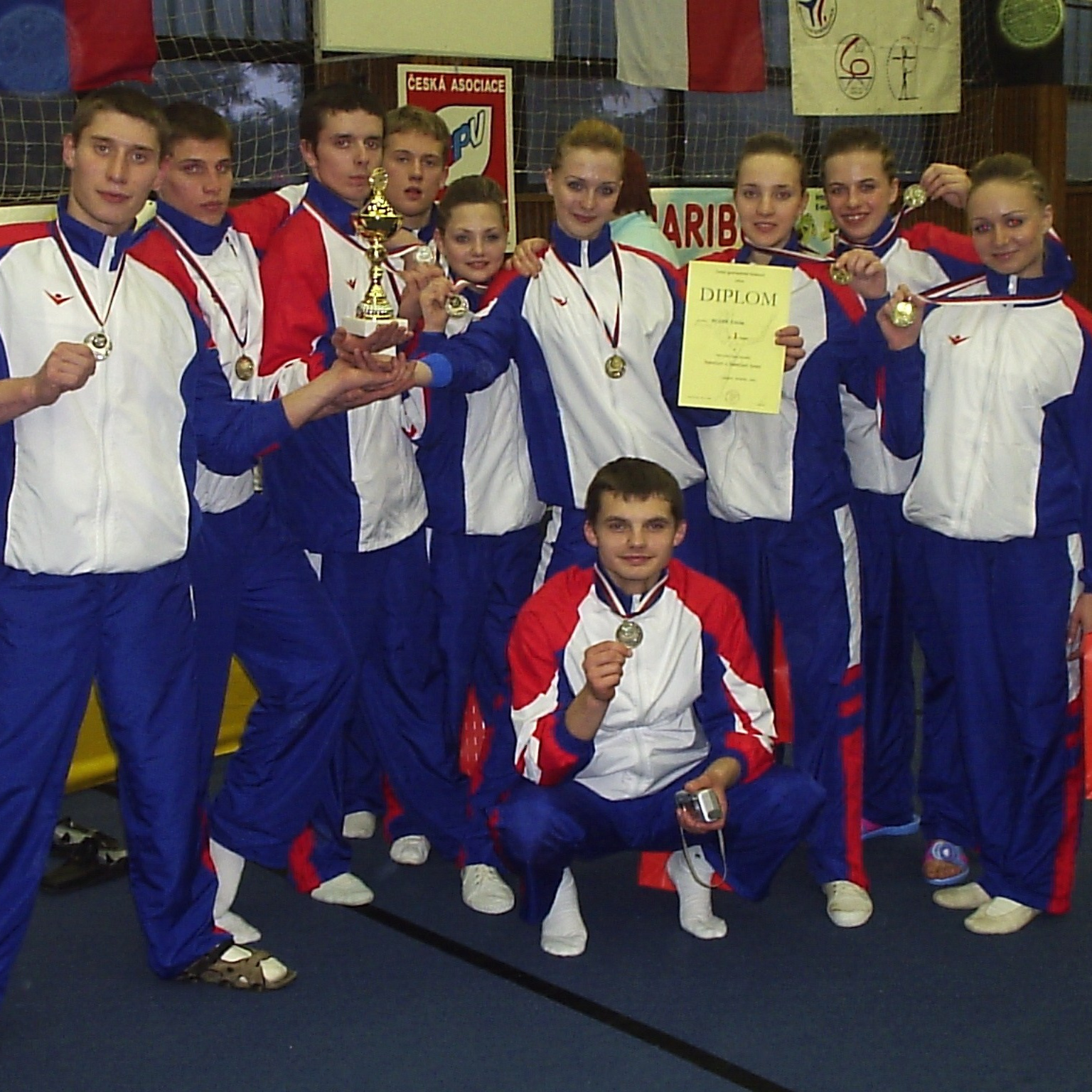 История возникновения. Федерация Командной Гимнастики России