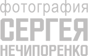 sergeynechiporenko.ru
