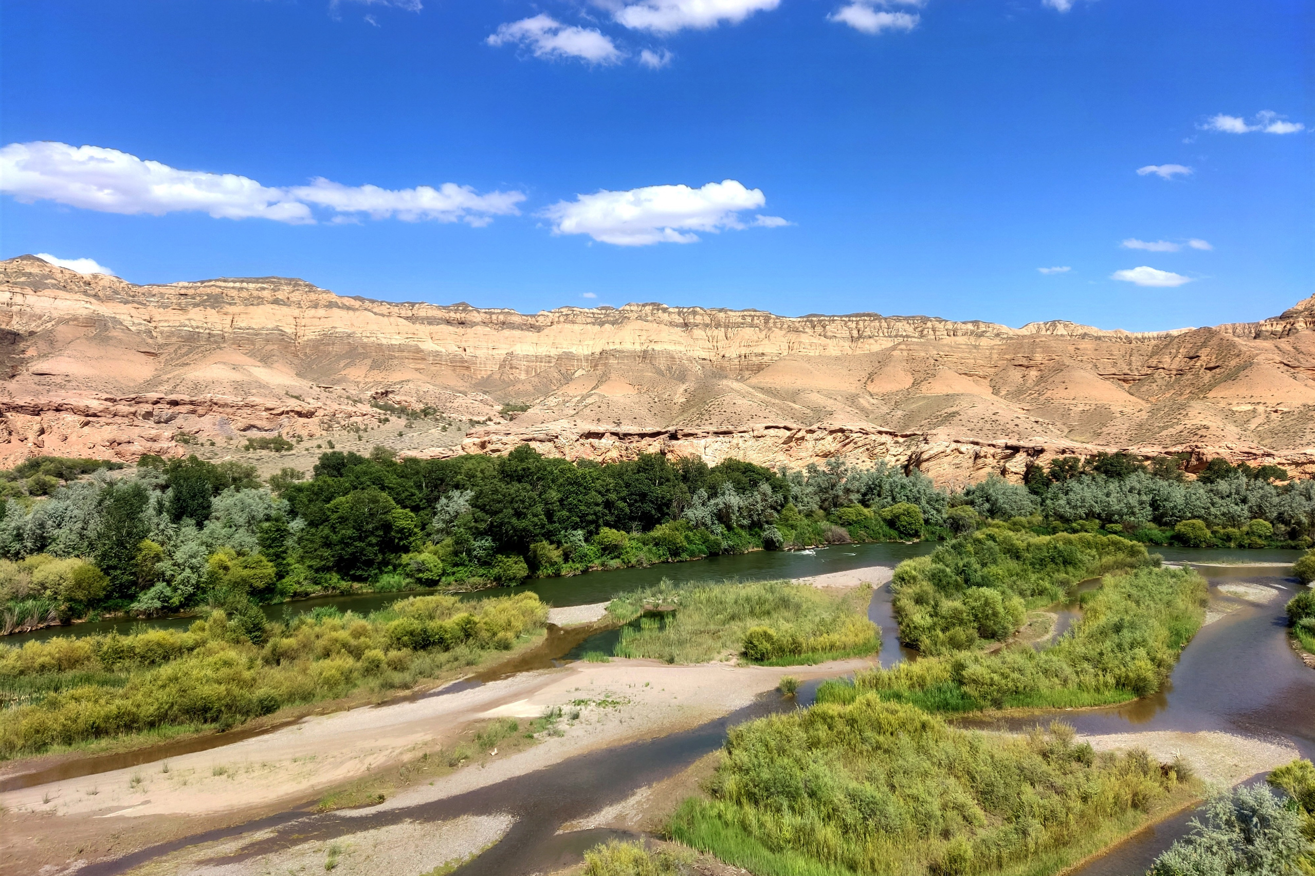 Пейзаж, напоминающий лунный, с извилистой рекой, окруженной густой зеленью и деревьями на фоне пустынных скалистых гор Лунного каньона. Солнечный день с ярко-голубым небом, украшенным небольшими облаками, подчеркивает природную красоту местности. Река Чарын образует небольшие островки, покрытые травой и кустарником.