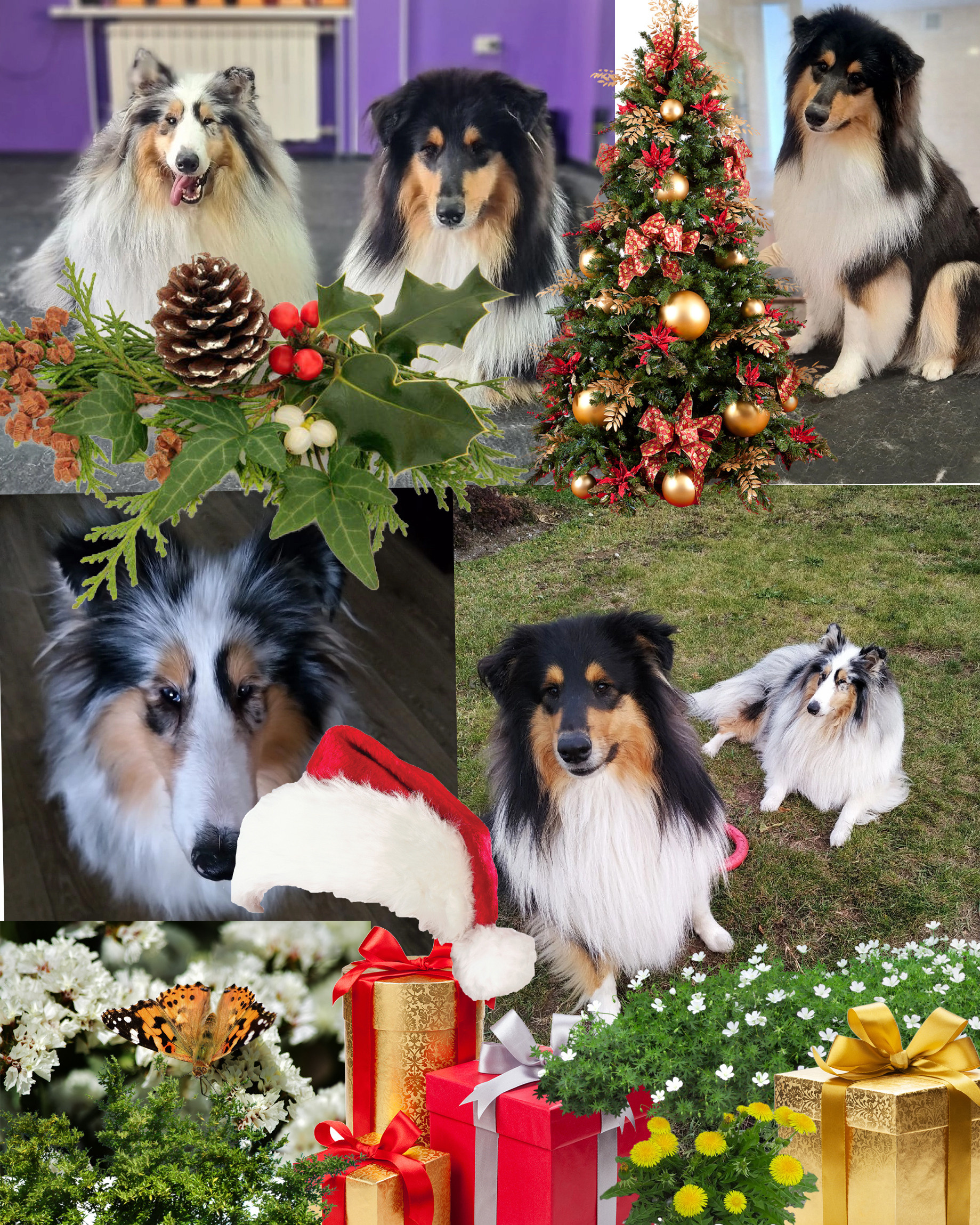 Фотоарт. Качественная ретушь фотографий Вера Сартакова