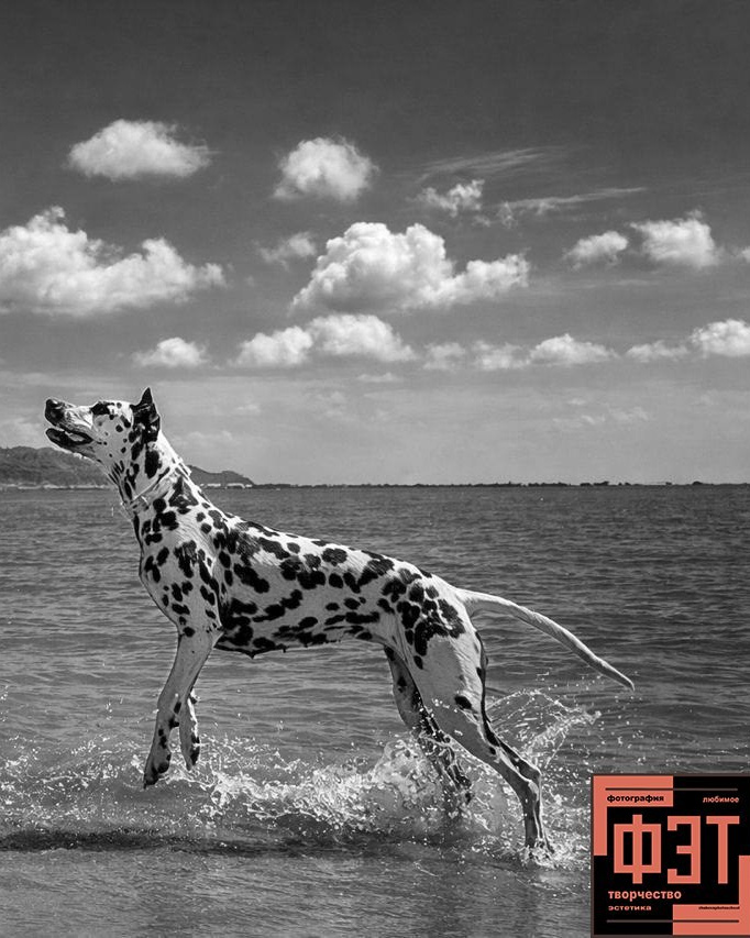 Наталья Переверзева