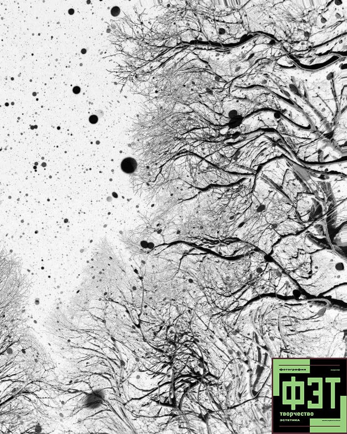 Альбом 23.11.25. ФЭТ