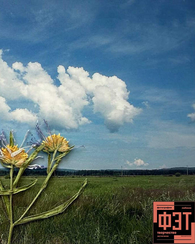 Альбом 19.04.26 в рамках проекта ФЭТ