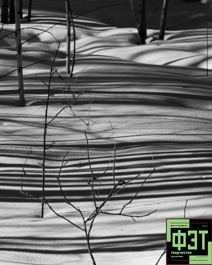 Наталья Переверзева