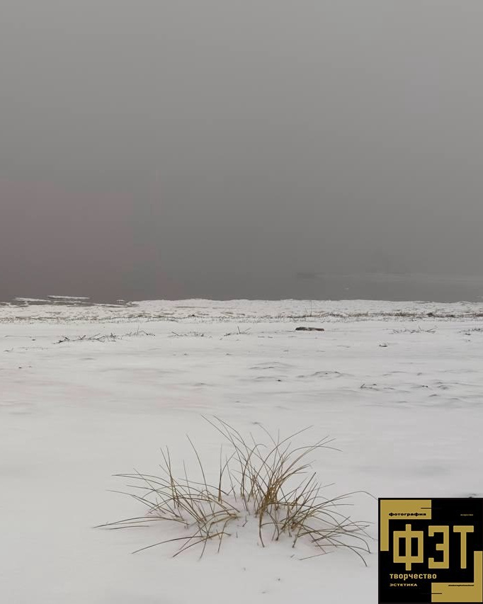 Выбор зрителей 14.12.25