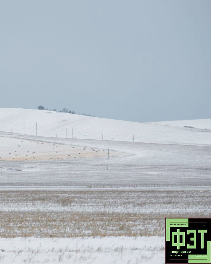 Наталья Переверзева