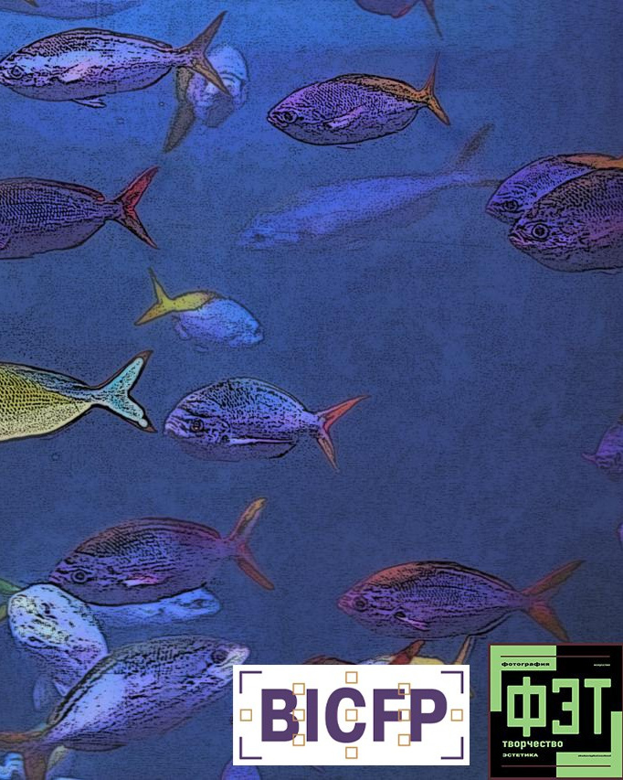 Альбом 28.12.25 ФЭТ