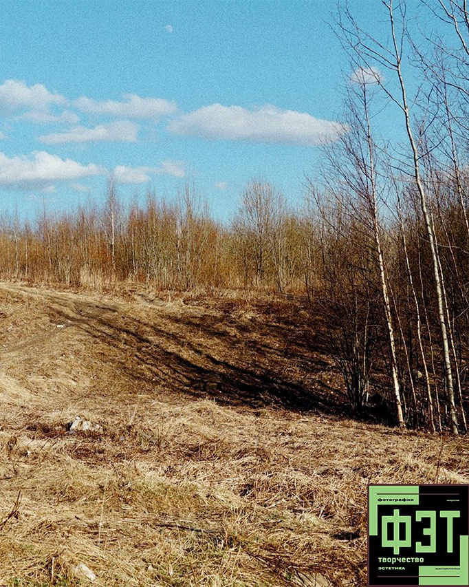 Наталья Переверзева