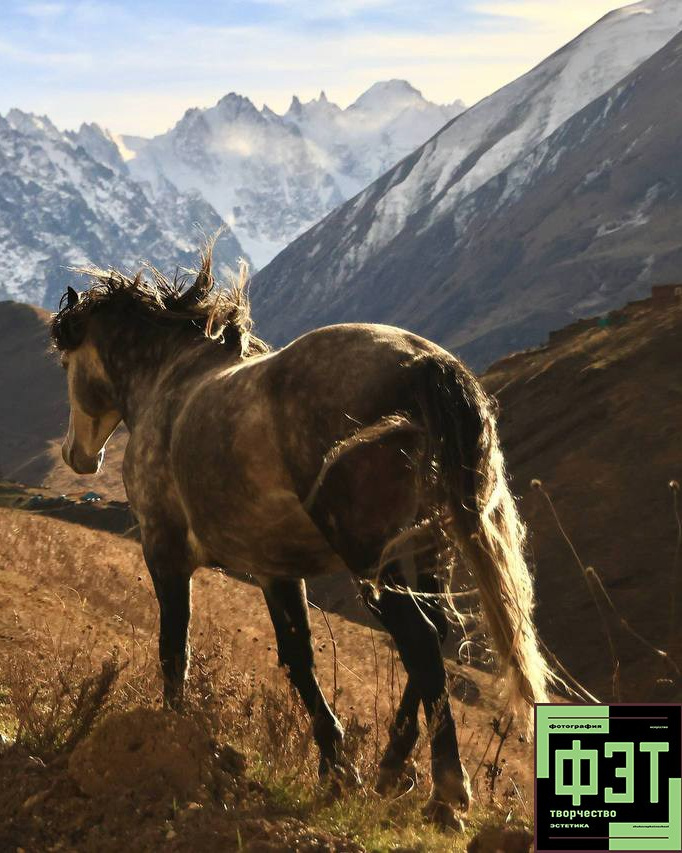 Альбом 08.03.26 в рамках ФЭТ