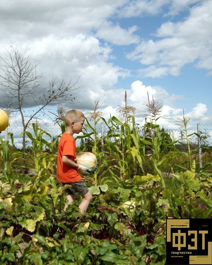 Выбор зрителей 01.03.26